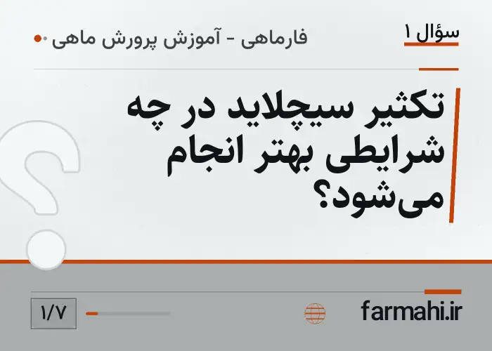 تکثیر سیچلاید در چه شرایطی بهتر انجام می‌شود؟
