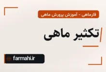 تکثیر ماهی