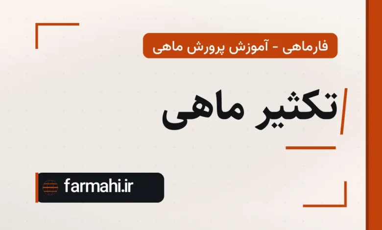 تکثیر ماهی