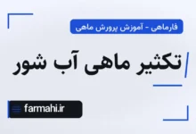 تکثیر ماهی آب شور