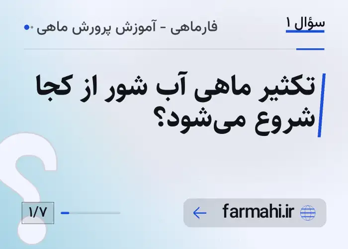 تکثیر ماهی آب شور از کجا شروع می‌شود؟