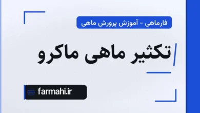 تکثیر ماهی ماکرو