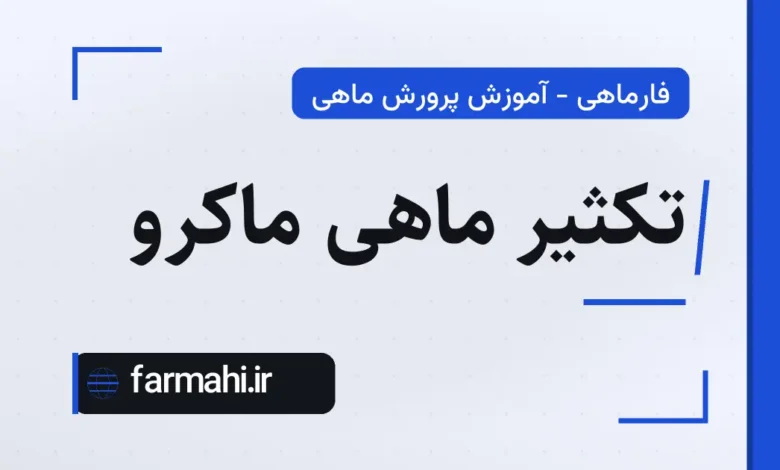 تکثیر ماهی ماکرو