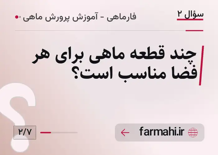 چند قطعه ماهی برای هر فضا مناسب است؟