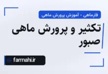 تکثیر و پرورش ماهی صبور