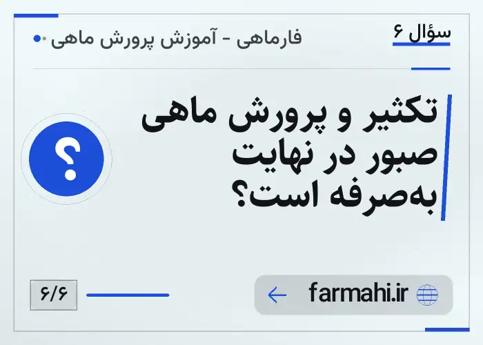 تکثیر و پرورش ماهی صبور در نهایت به‌صرفه است؟
