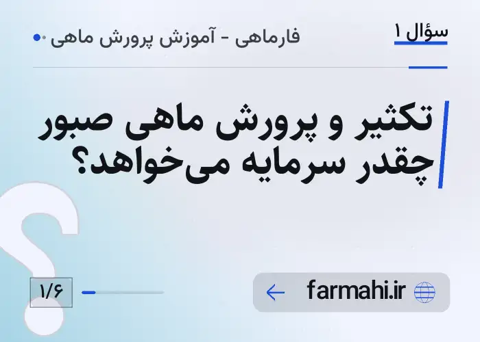 تکثیر و پرورش ماهی صبور چقدر سرمایه می‌خواهد؟