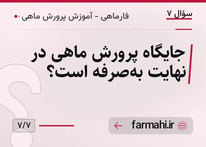 جایگاه پرورش ماهی در نهایت به‌صرفه است؟