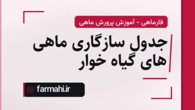 جدول سازگاری ماهی های گیاه خوار
