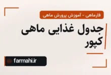 جدول غذایی ماهی کپور