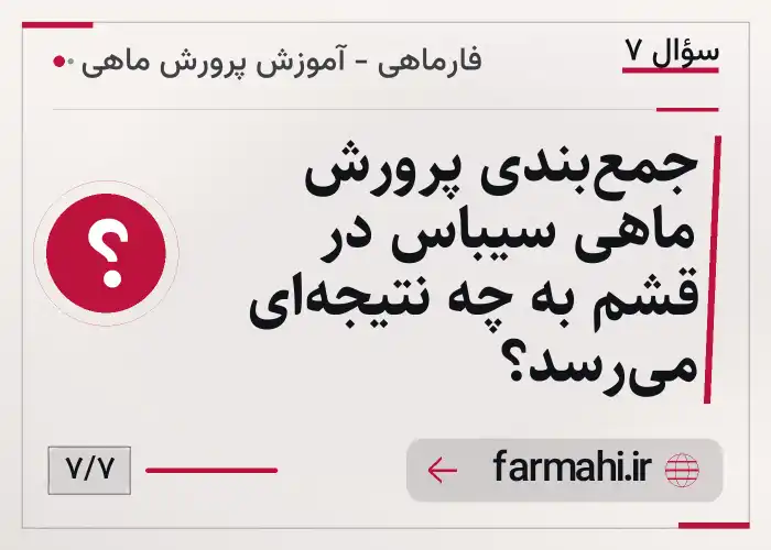 جمع‌بندی پرورش ماهی سیباس در قشم به چه نتیجه‌ای می‌رسد؟