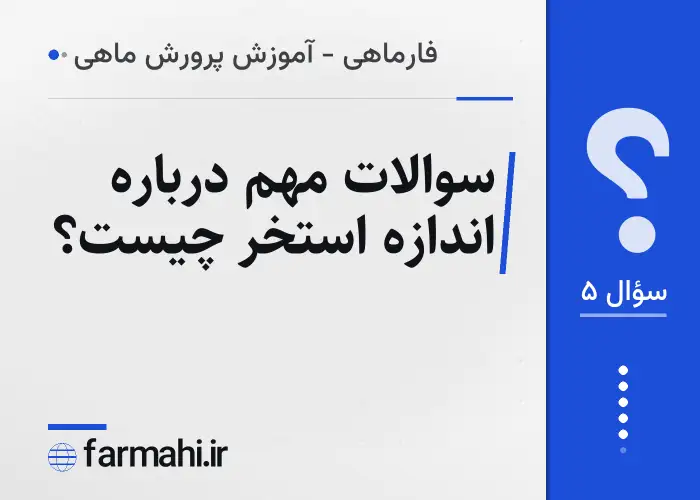 سوالات مهم درباره اندازه استخر چیست؟