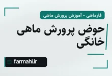 حوض پرورش ماهی خانگی
