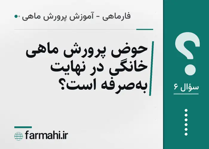 حوض پرورش ماهی خانگی در نهایت به‌صرفه است؟