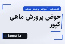 حوض پرورش ماهی کپور