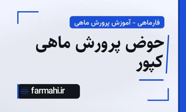 حوض پرورش ماهی کپور