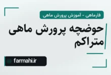 حوضچه پرورش ماهی متراکم