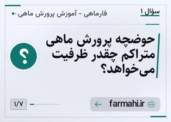 حوضچه پرورش ماهی متراکم چقدر ظرفیت می‌خواهد؟