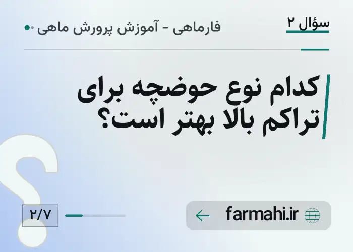 کدام نوع حوضچه برای تراکم بالا بهتر است؟