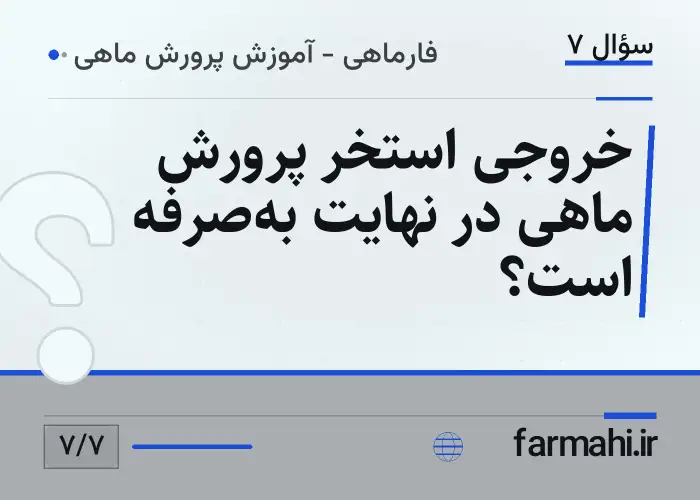 خروجی استخر پرورش ماهی در نهایت به‌صرفه است؟