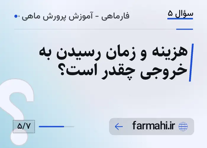هزینه و زمان رسیدن به خروجی چقدر است؟