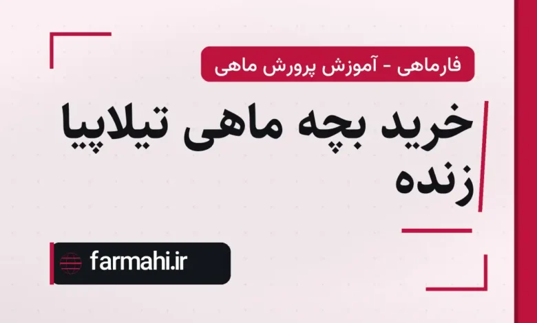 خرید بچه ماهی تیلاپیا زنده
