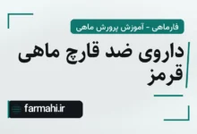 داروی ضد قارچ ماهی قرمز