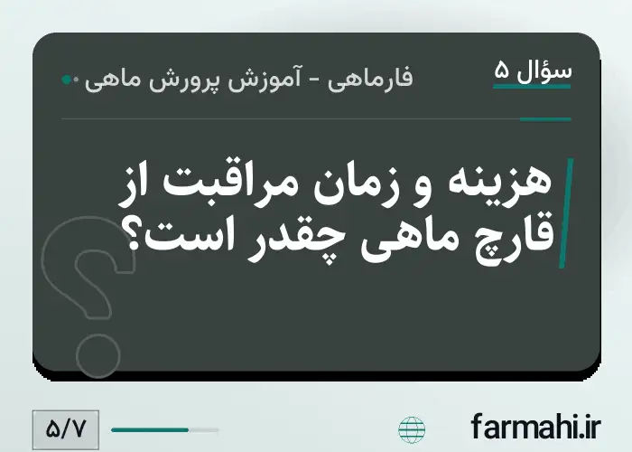هزینه و زمان مراقبت از قارچ ماهی چقدر است؟