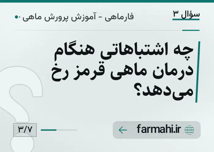 چه اشتباهاتی هنگام درمان ماهی قرمز رخ می‌دهد؟