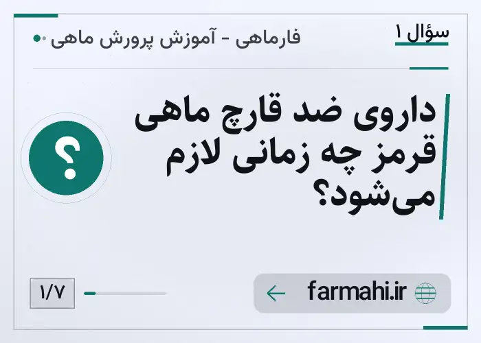 داروی ضد قارچ ماهی قرمز چه زمانی لازم می‌شود؟