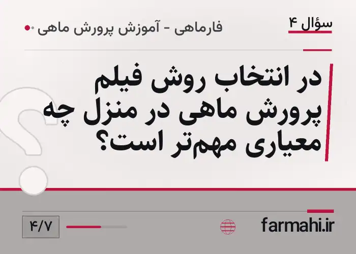 در انتخاب روش فیلم پرورش ماهی در منزل چه معیاری مهم‌تر است؟