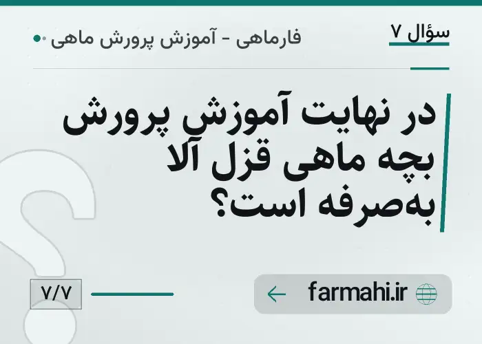 در نهایت آموزش پرورش بچه ماهی قزل آلا به‌صرفه است؟