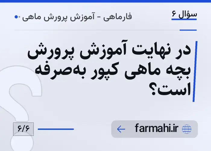 در نهایت آموزش پرورش بچه ماهی کپور به‌صرفه است؟