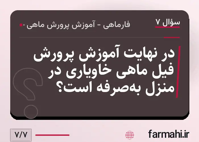 در نهایت آموزش پرورش فیل ماهی خاویاری در منزل به‌صرفه است؟