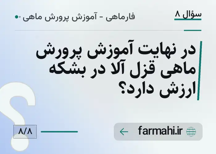 در نهایت آموزش پرورش ماهی قزل آلا در بشکه ارزش دارد؟