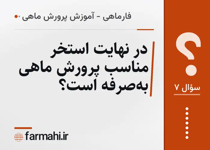 در نهایت استخر مناسب پرورش ماهی به‌صرفه است؟