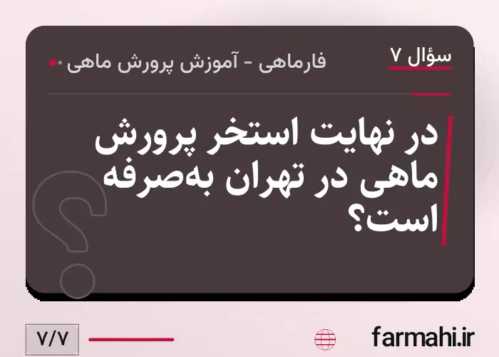 در نهایت استخر پرورش ماهی در تهران به‌صرفه است؟