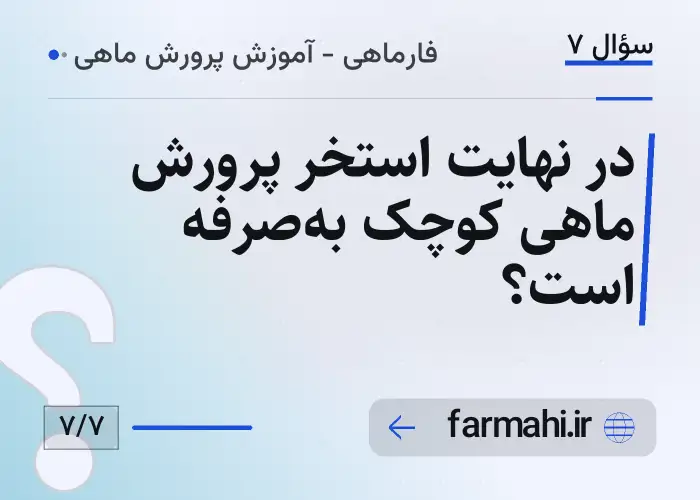 در نهایت استخر پرورش ماهی کوچک به‌صرفه است؟