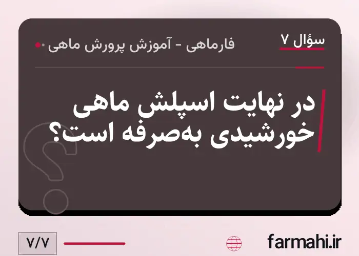در نهایت اسپلش ماهی خورشیدی به‌صرفه است؟