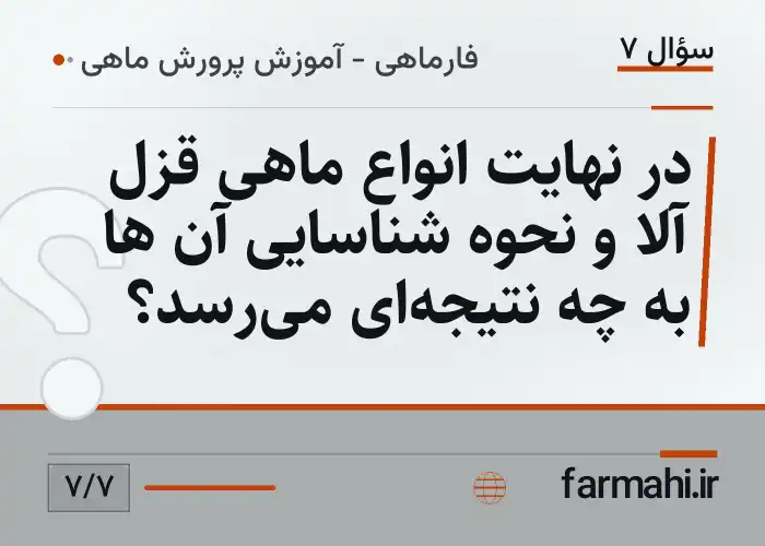 در نهایت انواع ماهی قزل آلا و نحوه شناسایی آن ها به چه نتیجه‌ای می‌رسد؟