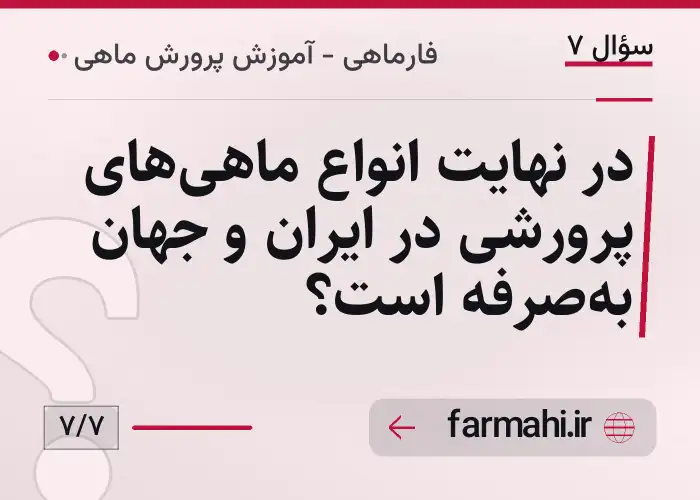 در نهایت انواع ماهی‌های پرورشی در ایران و جهان به‌صرفه است؟