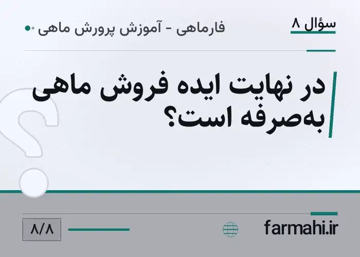در نهایت ایده فروش ماهی به‌صرفه است؟