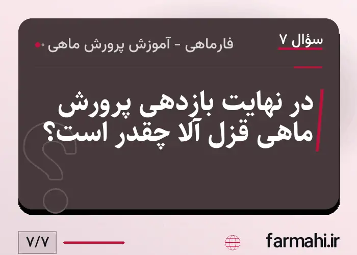 در نهایت بازدهی پرورش ماهی قزل آلا چقدر است؟