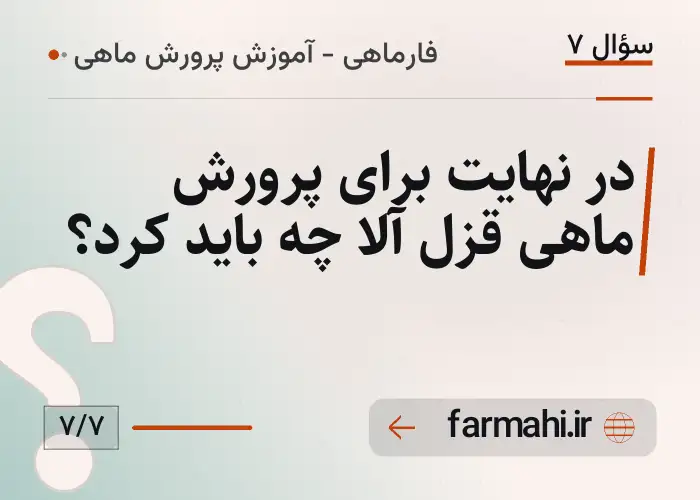 در نهایت برای پرورش ماهی قزل آلا چه باید کرد؟