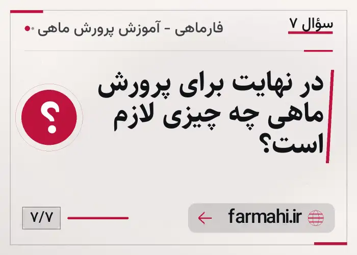 در نهایت برای پرورش ماهی چه چیزی لازم است؟