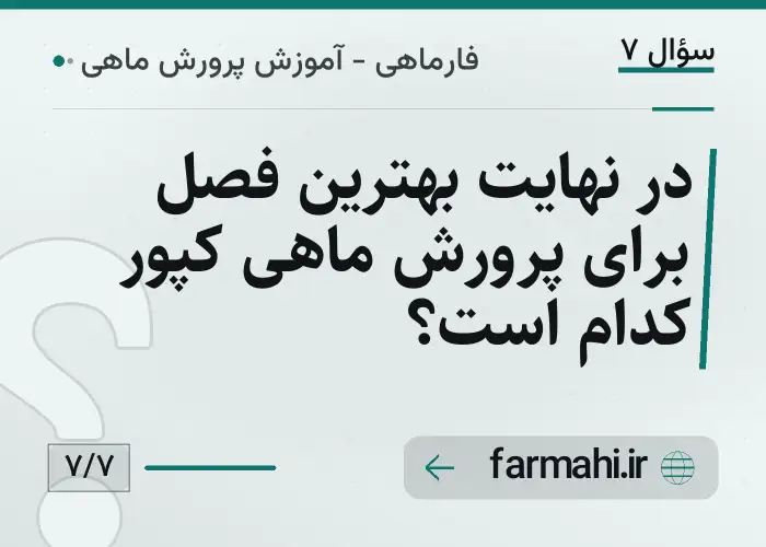 در نهایت بهترین فصل برای پرورش ماهی کپور کدام است؟