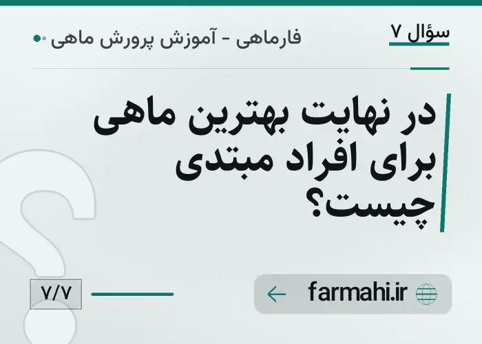 در نهایت بهترین ماهی برای افراد مبتدی چیست؟