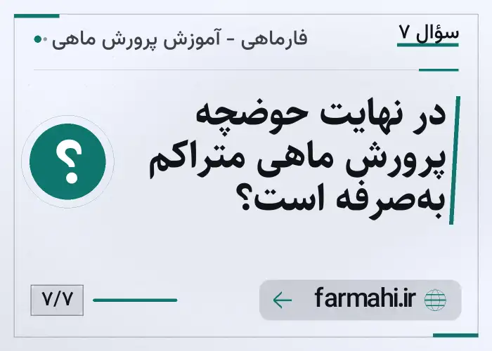 در نهایت حوضچه پرورش ماهی متراکم به‌صرفه است؟