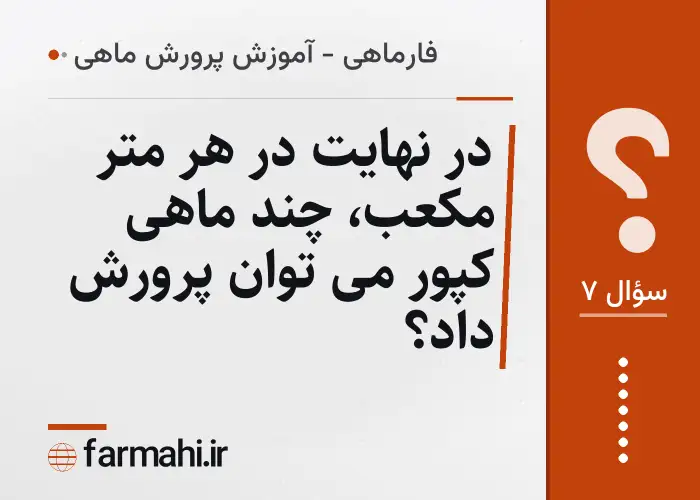 در نهایت در هر متر مکعب، چند ماهی کپور می توان پرورش داد؟