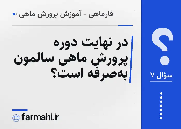 در نهایت دوره پرورش ماهی سالمون به‌صرفه است؟